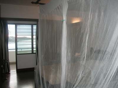 And so to my mosquito netted bed